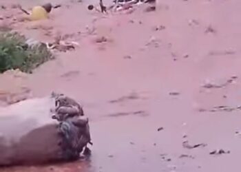 Tragedy As Heavy Flood Sweeps Away Motorcyclist In Edo