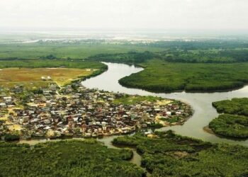 CSO Builds Capacity For Communities On Ecosystem Restoration