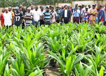 World Bank, Others Laud Akwa Ibom’s Access To Rural Produce