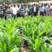 World Bank, Others Laud Akwa Ibom’s Access To Rural Produce