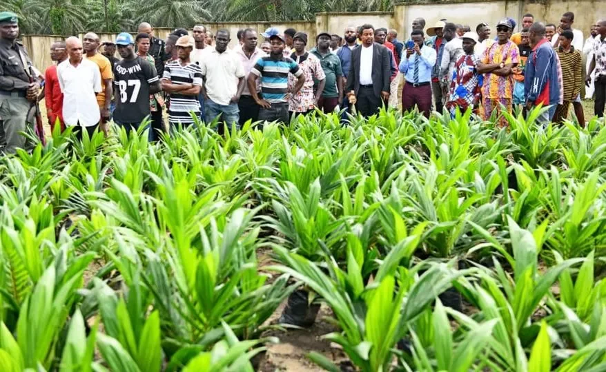 RAAMP Project Delivers 202km Of Rural Roads In Akwa Ibom