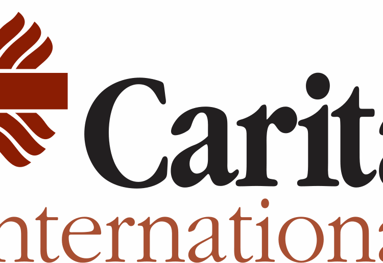 Caritas Internationalis Committees