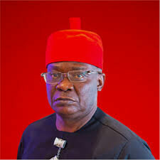 Executive Director of Peering Advocacy and Advancement Centre in Africa PAACA Ezenwa Nwagwu