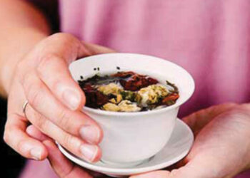 Nature’s Healing Power And The Reality Of Herbal Medicine