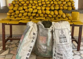 NDLEA Recovers 112kg Of Cannabis At Kano Accident Scene, Arrests 2 Suspects