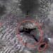 NAF Airstrikes Kill 25 Terrorists In Bula Yobe-Banki Axis 5 NAF Airstrikes Kill 25 Terrorists In Bula Yobe-Banki Axis