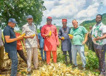 Kogi Government Deepens Ties With Agencies, Investors For Food Security, Agro-export