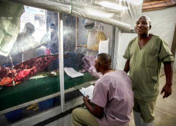 2 Ebola Patients Recover In DR Congo