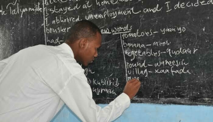 Nigeria And The Global Teacher Shortage Crisis 1 IMG 6784