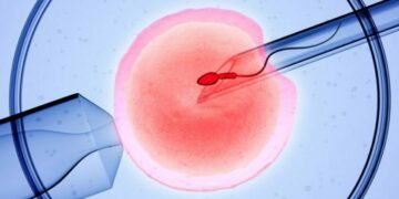 Catholic Bishops Of Nigeria Warn Against IVF