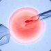 Catholic Bishops Of Nigeria Warn Against IVF 5 Catholic Bishops Of Nigeria Warn Against IVF