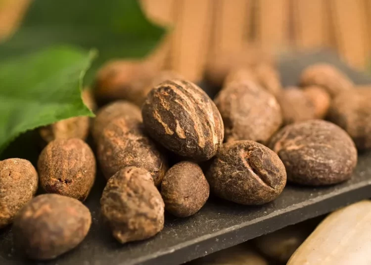 Raw Shea Nut Export Ban