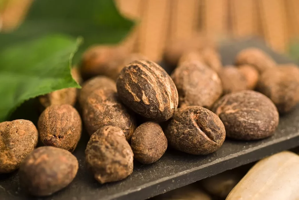 Raw Materials Council Backs Raw Shea Nut Export Ban