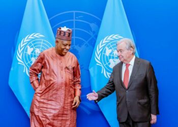UNGA 80: Shettima Meets UN Chief On Security Council Seat Bid, SDGs