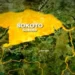 Sokoto Suspends 6 Principals Over Insubordination, Illegal Fees