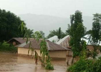 Flood Ravages Farmlands, Houses In Taraba