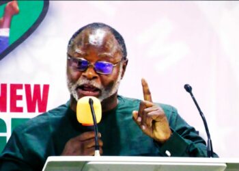 2027 Election Will Be Referendum On Tinubu – Udenta
