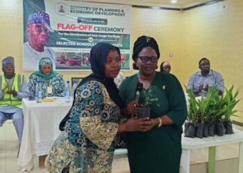 255 Schools Receive 14,180 Cocoa, Cashew Seedlings In Kwara