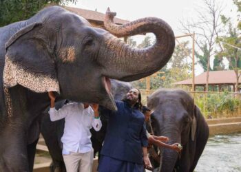 Indian Court Okays Wildlife Conservation At Vantara Private Zoo