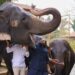 Indian Court Okays Wildlife Conservation At Vantara Private Zoo 5 Indian Court Okays Wildlife Conservation At Vantara Private Zoo