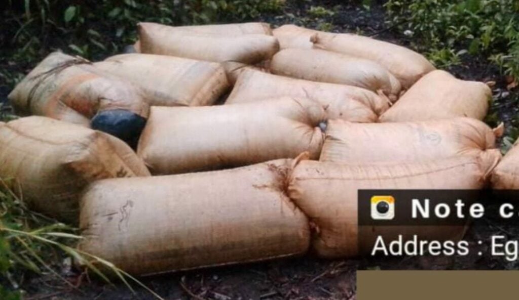 Army Arrests 17 Suspected Oil Thieves In Niger Delta