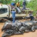 Police Intercept Vehicle With 127 Bags Of Cannabis, Arrest 5 Suspects In Kwara