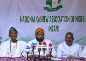 Cashew Farmers Decry Exploitation, Seek Urgent Value Chain Reforms