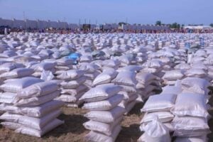 Zulum Distributes Foodstuffs