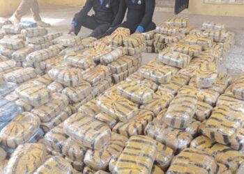 PICTORIAL: Troops Arrest Fake Policemen With 2 Vans Loaded With Cannabis In Taraba