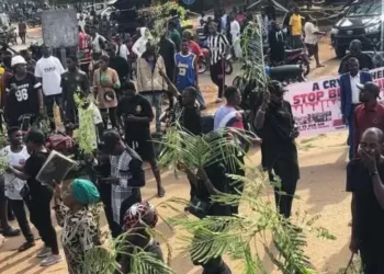Youths Protest As Herdsmen Kill 15, Abduct Many Farmers In Benue
