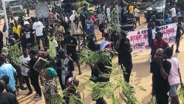 Youths Protest As Herdsmen Kill 15, Abduct Many Farmers In Benue 1 caab2920 49d2 11f0 95d4 8bbd907ae5da.jpg