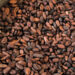 Kwara Distributes 14,180 Cocoa, Cashew Seedlings To Schools