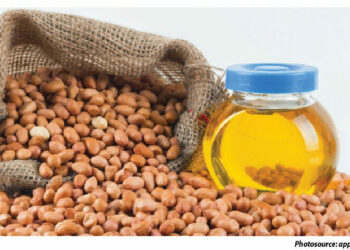 Making Extra Money From Production Of Groundnut Oil