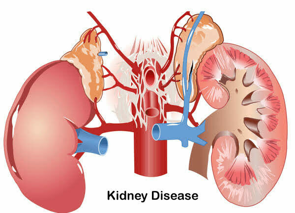 Rising Drug Abuse Among Youths Fuelling Kidney, Liver Diseases – Expert 1 images 3 3