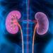 651 Kidneys Worth $41bn Sold In Nigeria – Professor Of Medicine