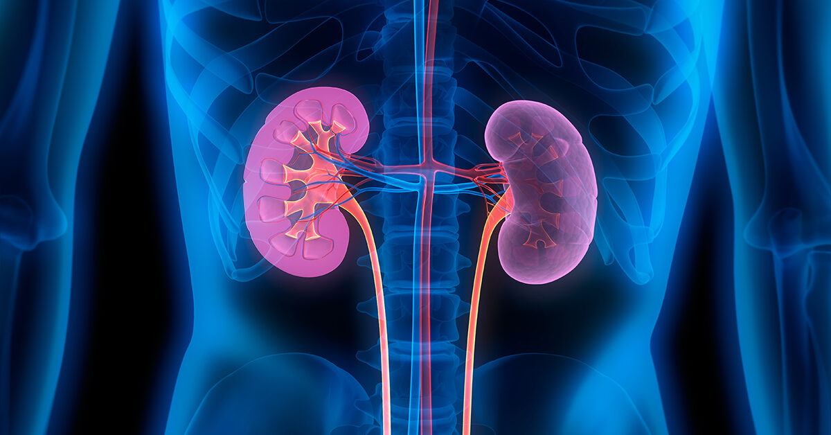 651 Kidneys Worth $41bn Sold In Nigeria – Professor Of Medicine