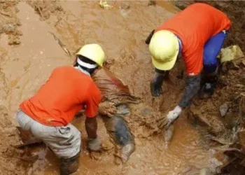 Four Die In Plateau Mine Collapse