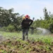 Nigeria, Foreign Partners Rally Against Hazardous Pesticides In Nigeria