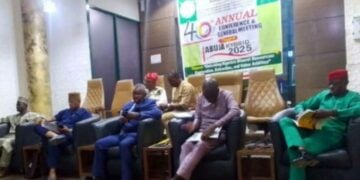 IBB Experts Demand Mining Laws Overhaul To Empower States, Clarify Data Rights