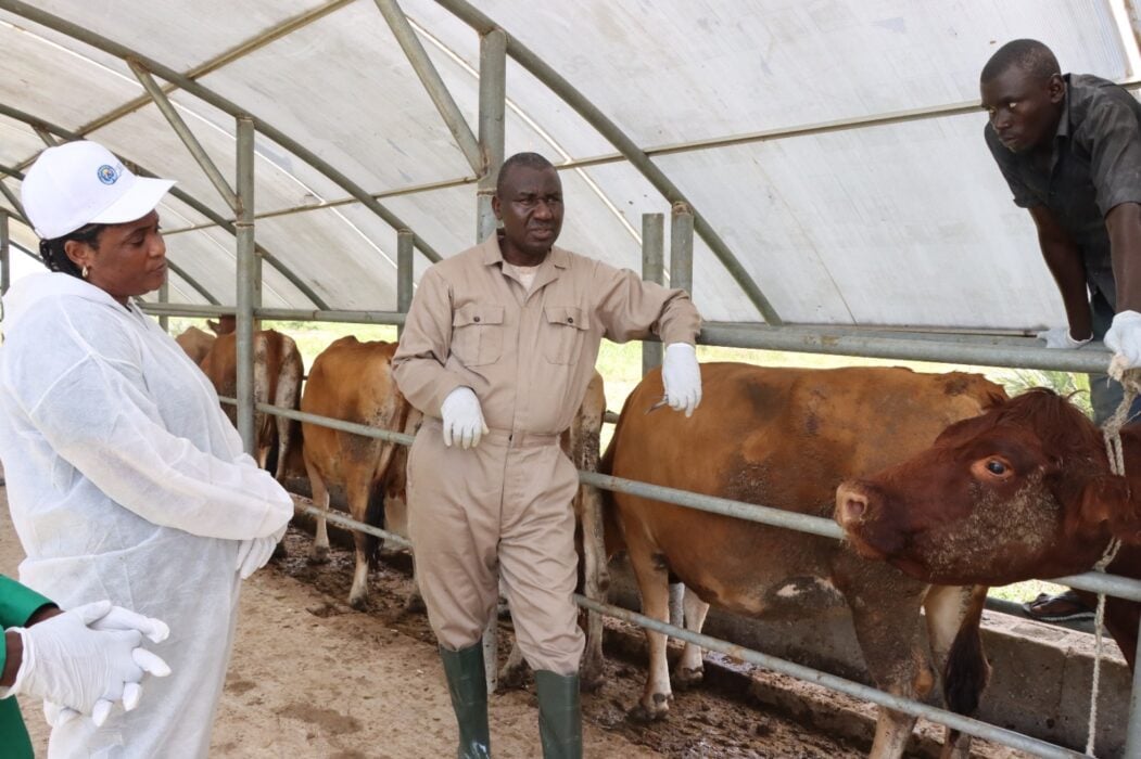 FG Seeks Data Accuracy To Boost Livestock Sector