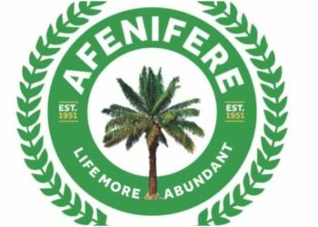 Don’t Fan Embers Of Disunity, Afenifere Group Urges North