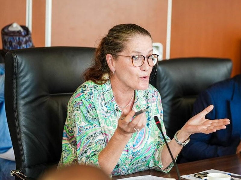 Nigerian-German Trade Volume Increases By 30% In 2025 – Envoy