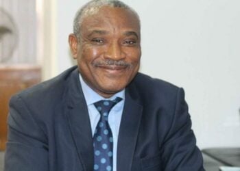 Ex-Presidential Aide Wants States To Have Mining Powers