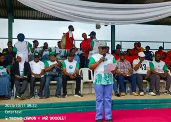 FCT Town Planners Kick Against ‘Distortion Of Abuja Master Plan’, Seek Wike’s Audience