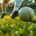 When Chile Tried Football Penalties From Longer Distances