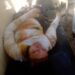 Woman Dies After Setting Self Ablaze In Bauchi