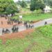PICTORIAL: Troops Burst 11 Bandits’ Enclaves, Recover Weapons In Taraba