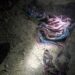 Kano Police Rescue 3 Kidnap Victims