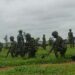 Guards Brigade Trains Personnel In Ambush, Anti-ambush Operations 5 Guards Brigade Trains Personnel In Ambush, Anti-ambush Operations