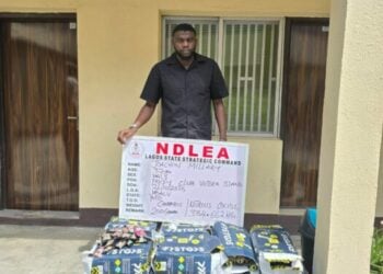 Drug Parties Are Illegal, NDLEA Warns Nightclub Owners, Fun Seekers